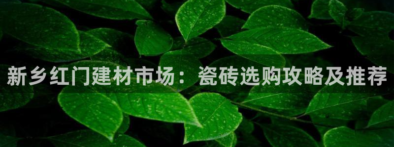 杏鑫平台正规吗是真的吗