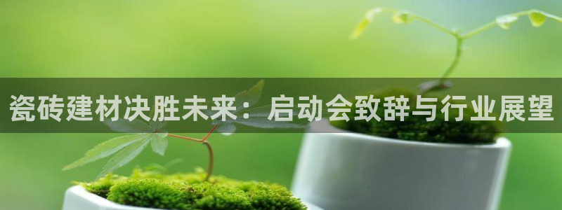 杏鑫官网注册账号是什么样的