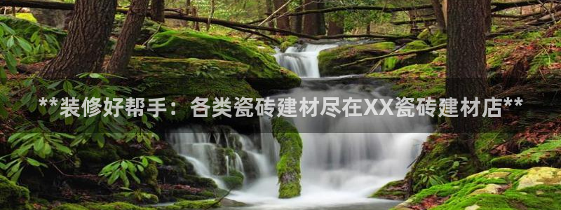 杏鑫平台代理注册