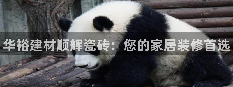 杏鑫平台在线注册怎么注册