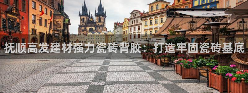 杏鑫注册登录代理公司