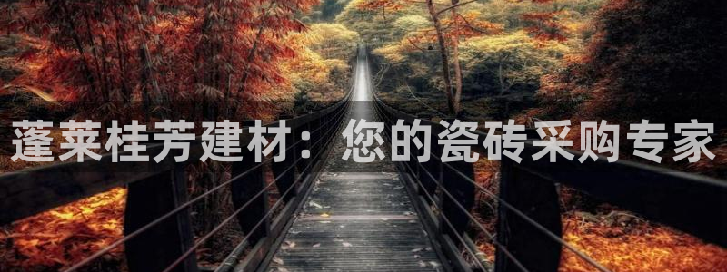 杏鑫平台招商电话号码