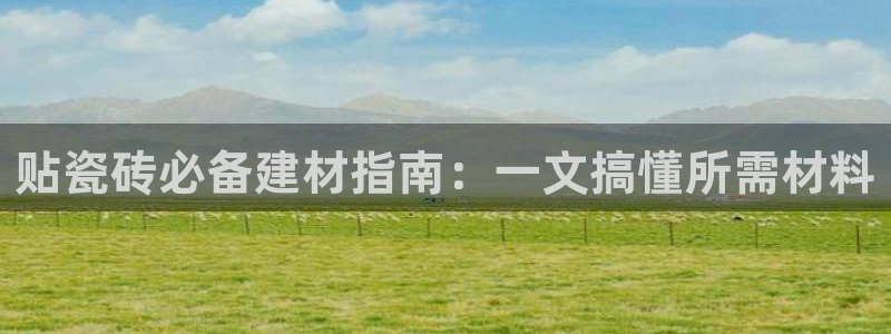 杏鑫平台下载安装