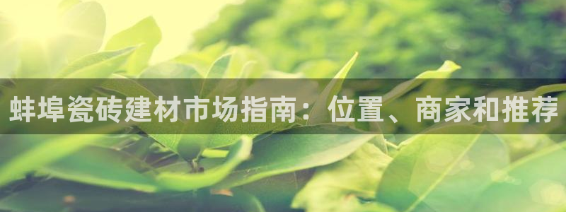 杏鑫手机客户端怎么下载