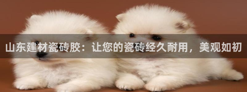 杏鑫娱乐怎么样