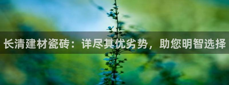 杏鑫娱乐负责人