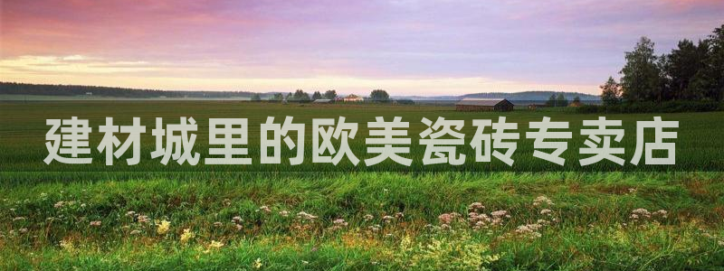 杏鑫主管