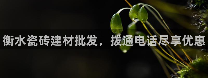杏鑫官方平台怎么样啊安全吗