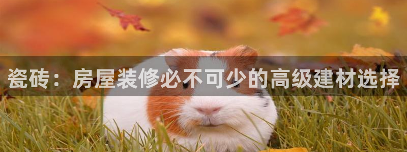 杏鑫平台线路测速