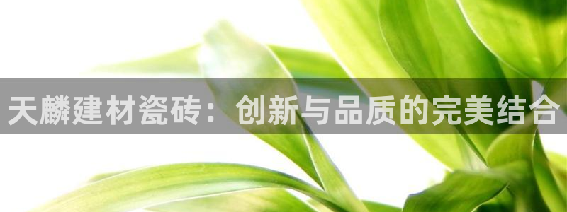 杏鑫娱乐-官方网站