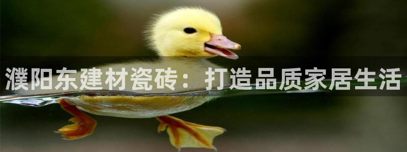 杏鑫官方平台怎么样啊可靠吗
