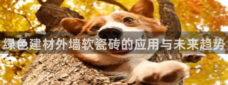 杏鑫平台正规吗可信吗