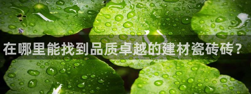 杏鑫娱乐是真的吗