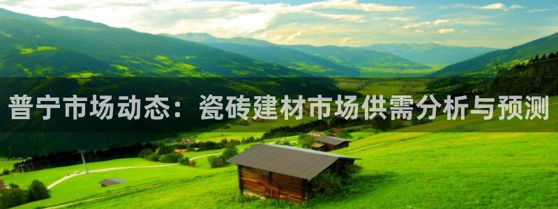 杏鑫平台注册地址