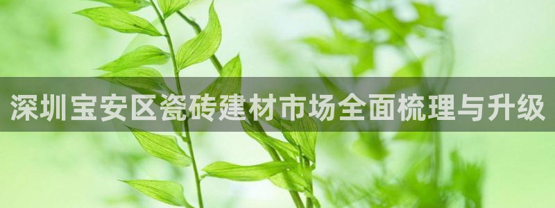 杏鑫官网注册账号怎么注册的