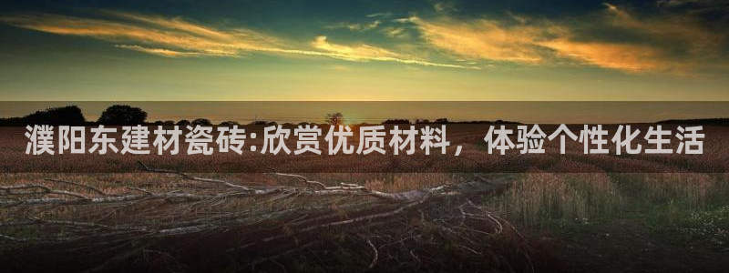 杏鑫娱乐负责人