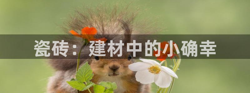 杏鑫平台代理注册登录不了怎么办呀