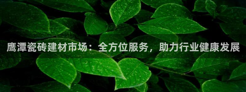 杏鑫平台代理怎么做