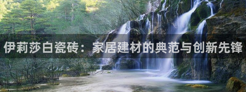 杏鑫主管