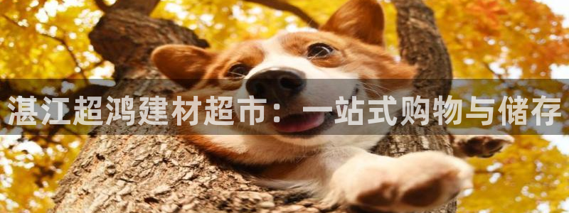 杏鑫平台直属