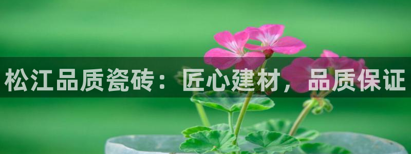 杏鑫平台代理注册流程