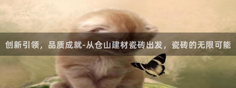 杏鑫官网注册账号是什么样的