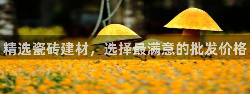 杏鑫注册平台官方网站是什么