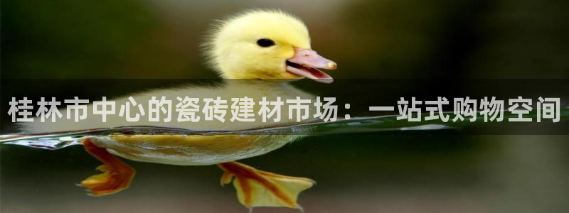 杏鑫娱乐平台登录注册网站