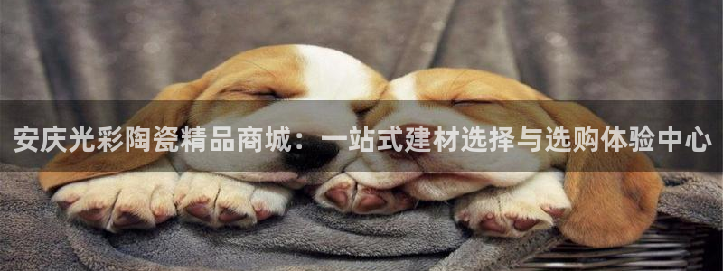 杏鑫代理注册平台