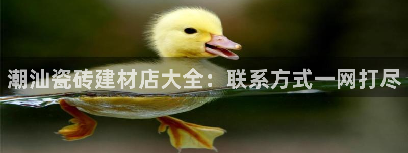 杏鑫代理注册资金多少