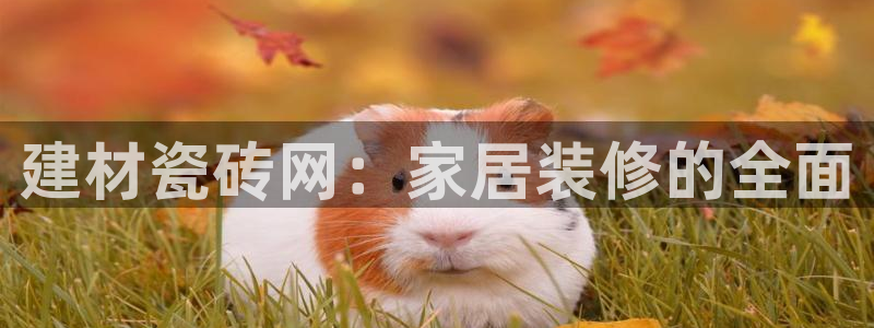 杏鑫娱乐官方网站客户端登录