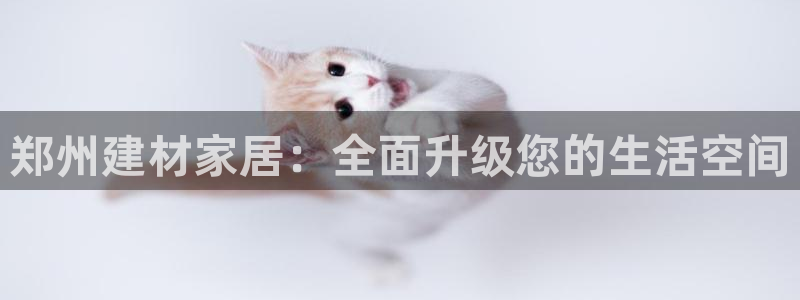 杏鑫娱乐开发团队