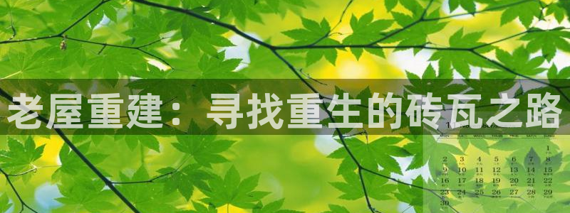 杏鑫平台登录注册