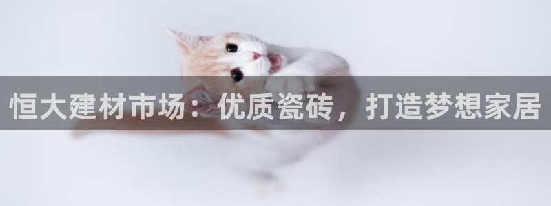 杏鑫平台代理注册登录不了怎么办呀视频