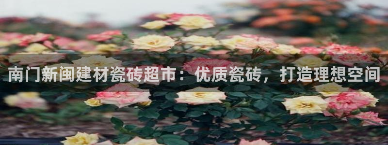 杏鑫平台登录地址在哪