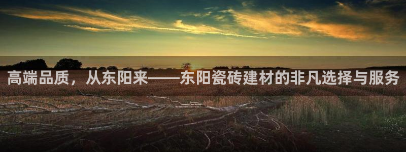 杏鑫平台代理注册流程及费用