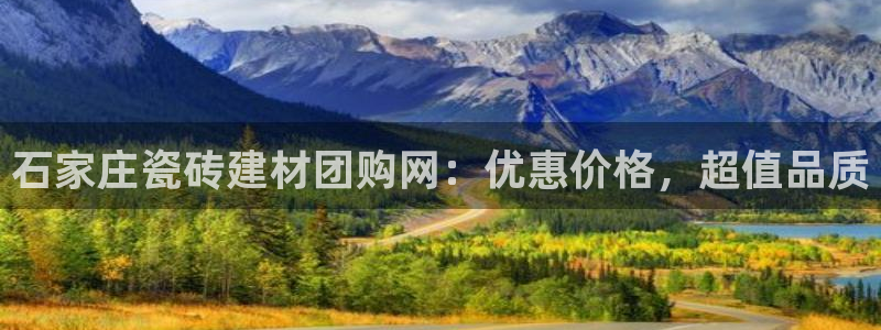 杏鑫代理注册资金多少