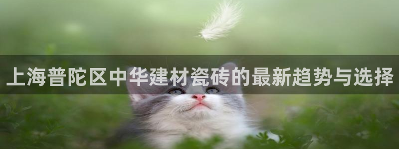 杏鑫平台号7O777