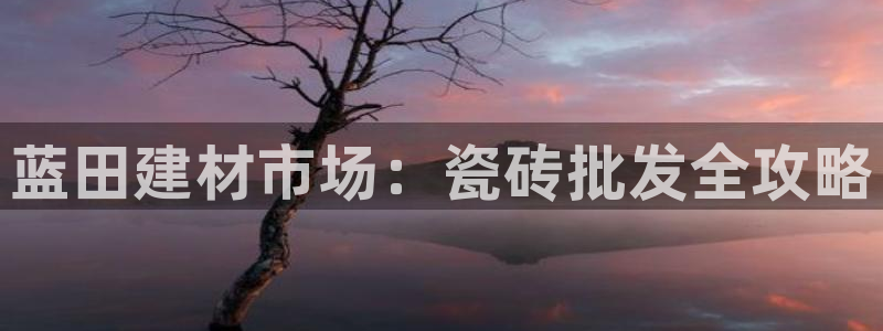 杏鑫娱乐官方网站客户端