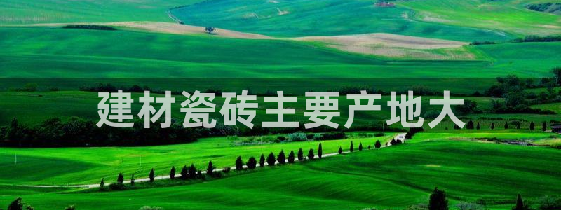 杏鑫平台平台娱乐