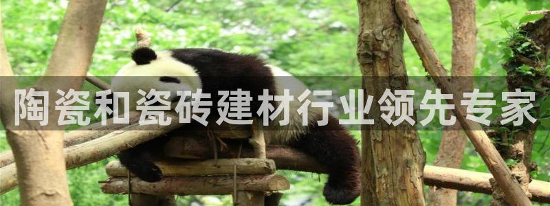 杏鑫平台代理注册流程图