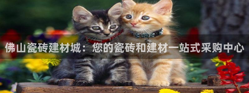 杏鑫平台代理怎么做