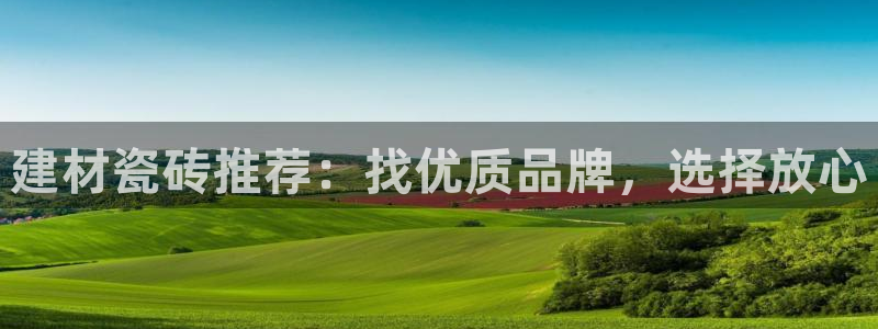 杏鑫平台代理注册流程视频