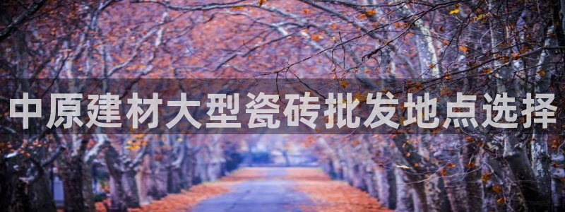 杏鑫官网最新信息新闻