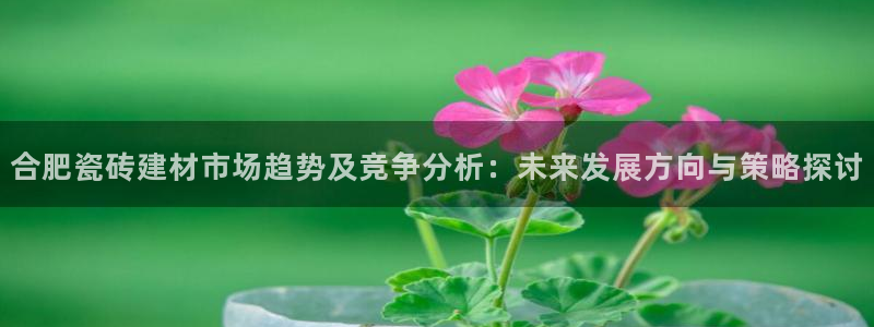 杏鑫手机客户端