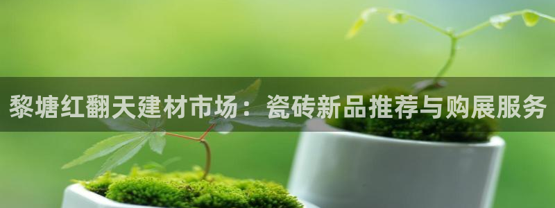 杏鑫平台代理注册多少钱