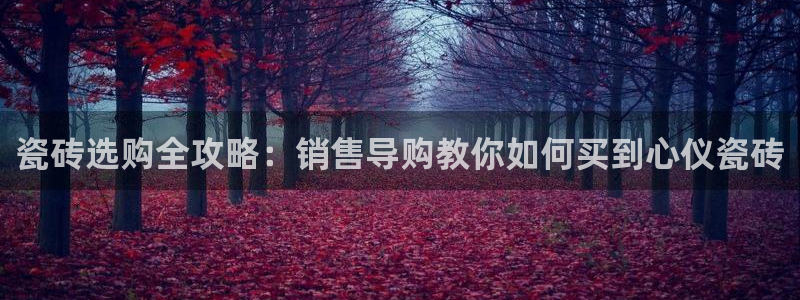 杏鑫娱乐是合法的吗?