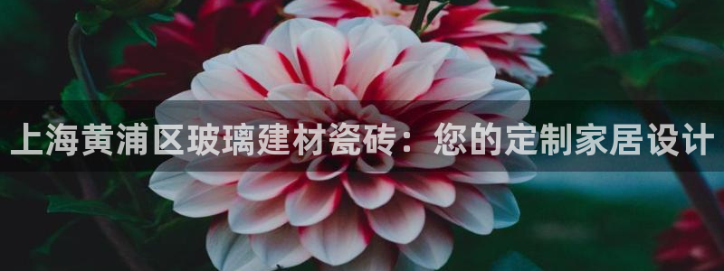 杏鑫平台登录地址查询