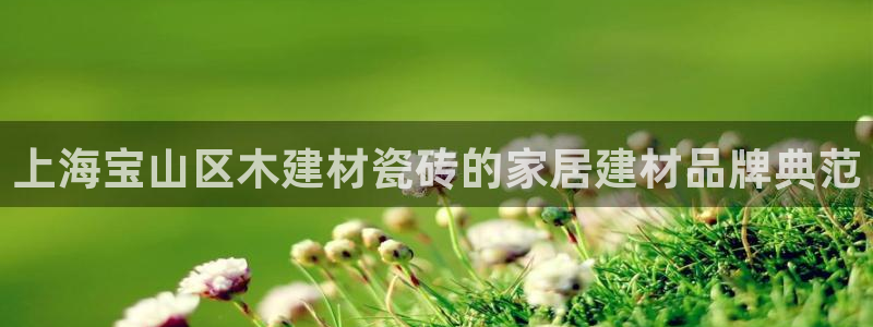 杏鑫平台代理注册流程图