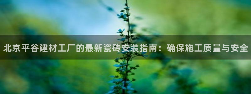 杏鑫官网最新信息新闻